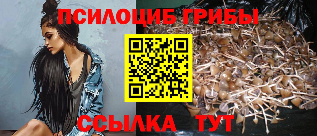 Галлюциногенные грибы Cubensis  Псилоцибиновые грибы Psilocybe  Вход с VPN  Среднеуральск 